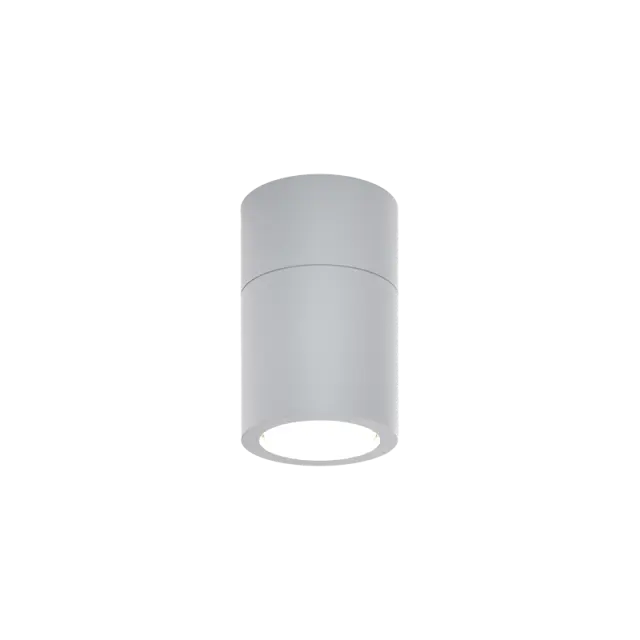 it-Lighting Chelan 1xGU10 Outdoor Ceiling Down Light Grey D:10.3cmx6cm (80300134)