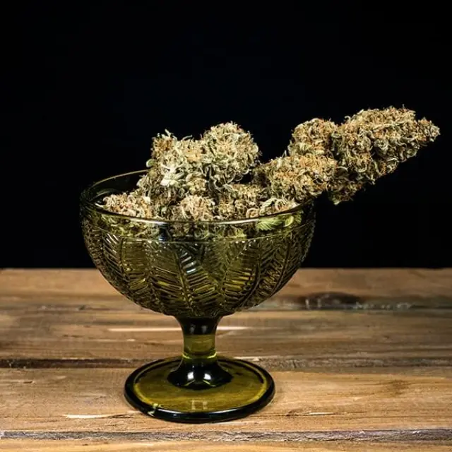 Royal Queen Seeds - Green Gelato Automatic - 1 seed 3