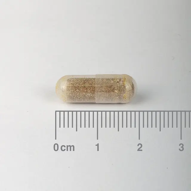 LAMBERTS Ashwaganda 6000mg - 60 Κάψουλες 2