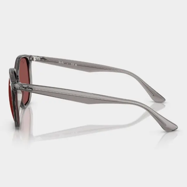 Γυαλιά Ηλίου Ray Ban RB4306 687375 Οπαλ Γκρι - 54 3