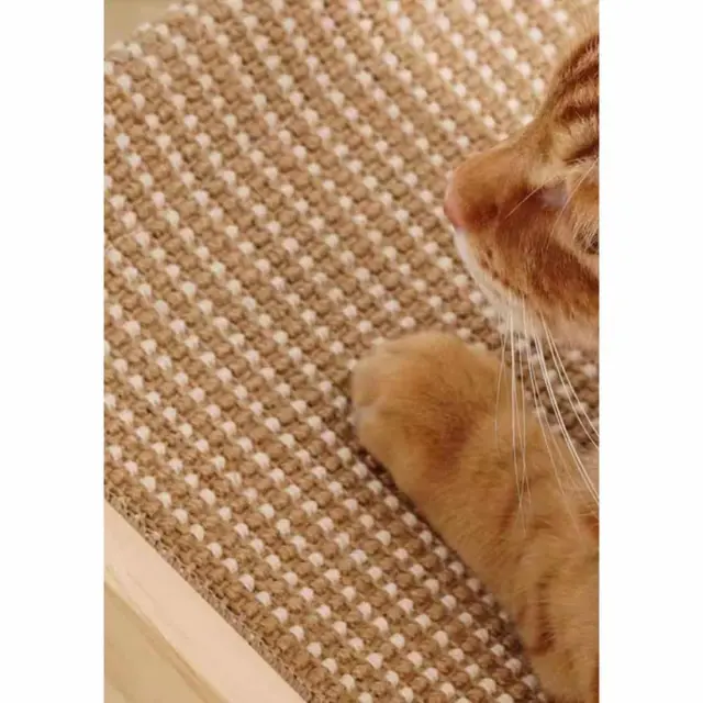 Ανταλλακτικό Χαλάκι Scratcher Για Το Ονυχοδρόμιο Σανίδα Πολλαπλής Χρήσης 25.01.14526 72x29cm 3
