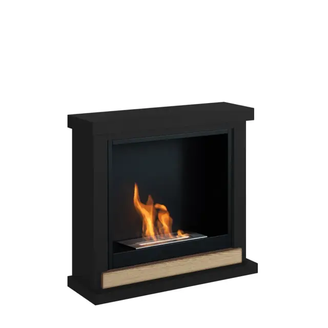TAGU Hagen FreeFlame Bioethanol Τζάκι BL 3