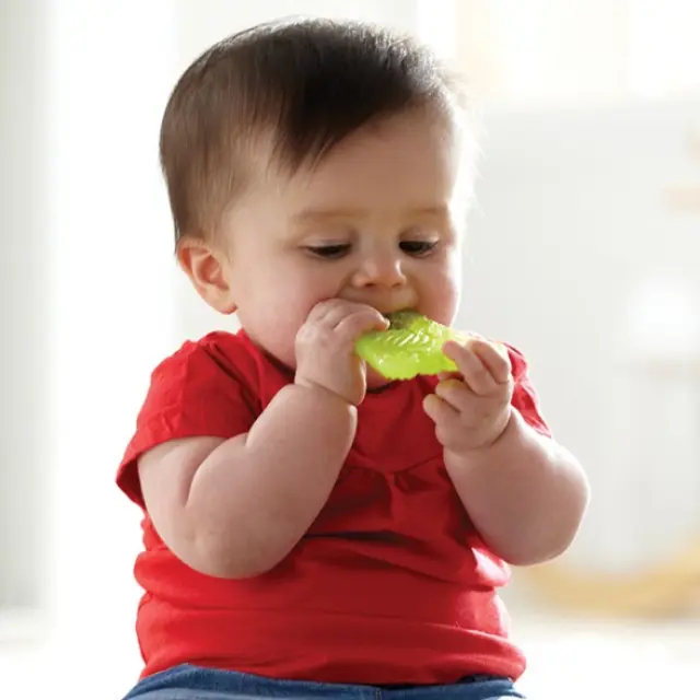 Munchkin Fun Ice Chewy Teether Toy Δροσιστικό Μασητικό (0m+) 1τμχ - Πράσινο Χεράκι (113243) 2