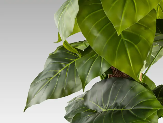 Taro 281126 Artificial Plant H150 – Τεχνητό Φυτό Colocasia Esculenta Πράσινο 3