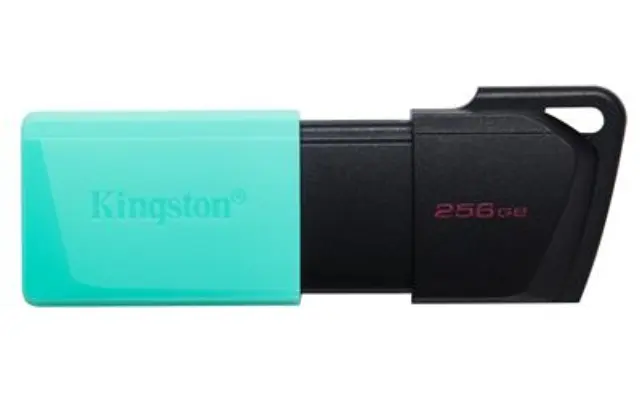 Kingston DataTraveler Exodia M 256GB USB 3.2 Gen 1 (DTXM/256GB) (KINDTXM/256GB)