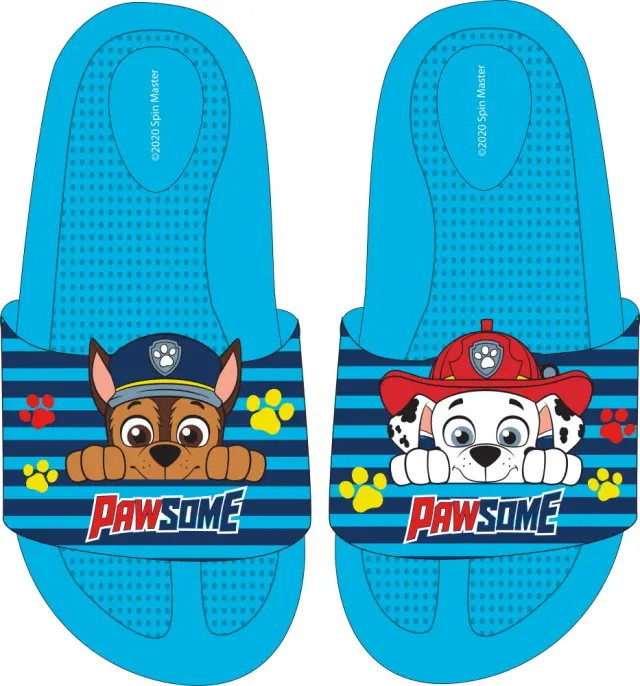 Paw Patrol Παιδικές Σαγιονάρες Καλοκαιρινές Μπλε Μπλε 2