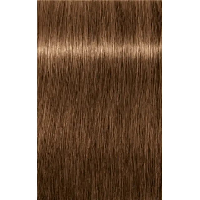 Schwarzkopf Professional Igora Royal Absolutes 7-50 Ξανθό Μεσαίο Φυσικό Χρυσό 60ml