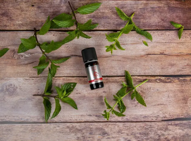 Styx Chin Min Mint Oil Δροσιστικό Έλαιο Μυών και Αθλητών με Τεϊόδεντρο 100ml 2