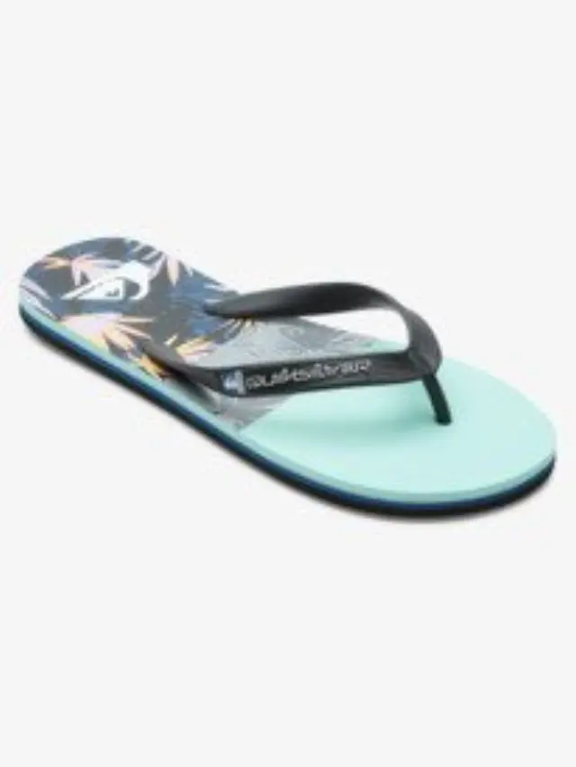 QUIKSILVER MOLOKAI PANEL ΑΝΔΡΙΚΕΣ ΣΑΓΙΟΝΑΡΕΣ MULTI 3