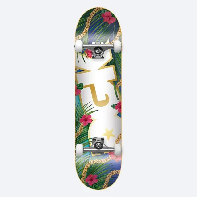DGK Vacation Complete Skateboard Multi