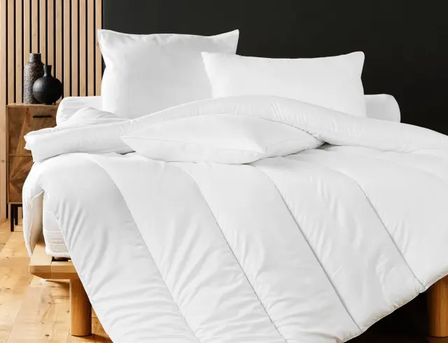 Υποαλλεργικό Μαξιλάρι Ύπνου Premium Douceur d'intérieur από Microfiber, με πυκνότητα 600gr/m² και διαστάσεις 70x50cm 1642867 3