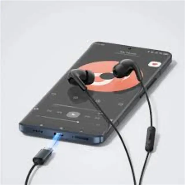 Xiaomi Type-C Earphones Ενσύρματα In-Ear Handsfree Ακουστικά USB-C με Μικρόφωνο HD, Drivers 12.4mm, Έλεγχο Έντασης + IP54 – Μαύρα 3