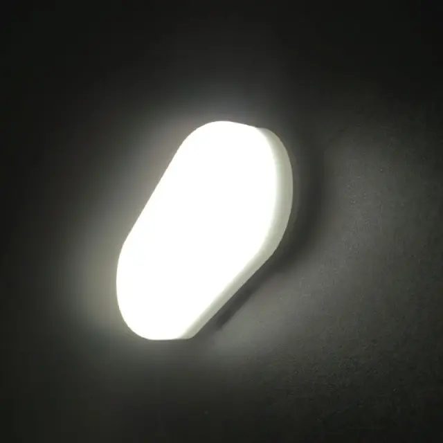 LED PC WHITE WALL LUMINAIRE 230V AC IP66 12W 1070lm 4000K 180° Ra80 / MINA1240 2