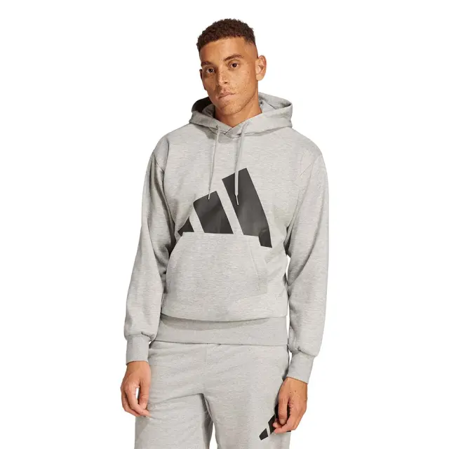 adidas Sportswear Men's Big Logo Fleece Hoodie Γκρι IN6160 (adidas Sportswear)