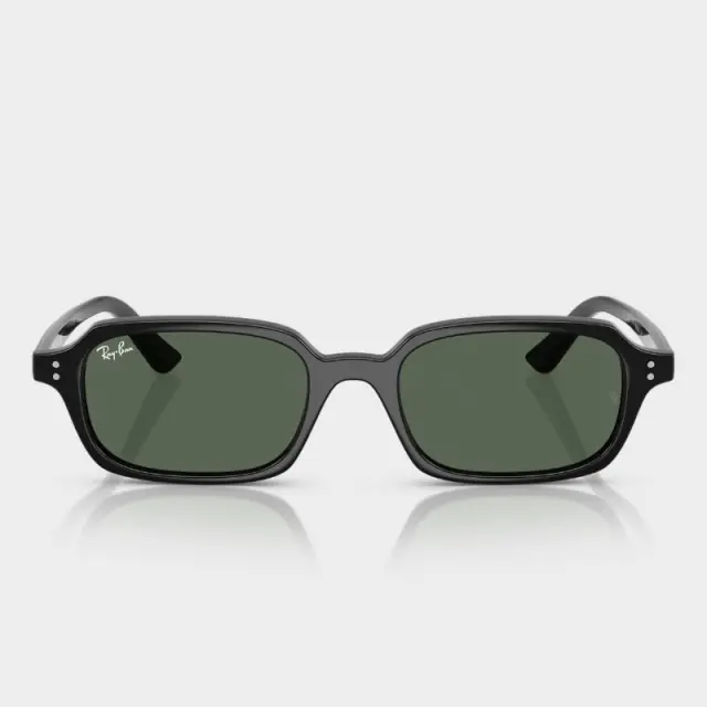 Γυαλιά Ηλίου Ray Ban RB4455 667771 Μαύρο - 52 2