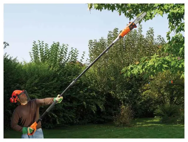 Black & Decker PS7525 Τηλεσκοπικό Κονταροπρίονο Ρεύματος 800W με Λάμα 25cm Συνολικού Μήκους 270cm (PS7525-QS) (BDEPS7525-QS) BLACK & DECKER 2