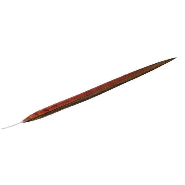 Φτερό Πορτοκαλί 55cm Espiel FTE116K6