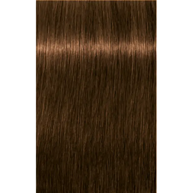 Schwarzkopf Professional Igora Royal Absolutes 6-50 Ξανθό Σκούρο Χρυσό Φυσικό 60ml