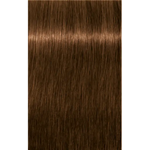 Schwarzkopf Professional Igora Royal Absolutes 6-60 Ξανθό Σκούρο Μαρόν Φυσικό 60ml