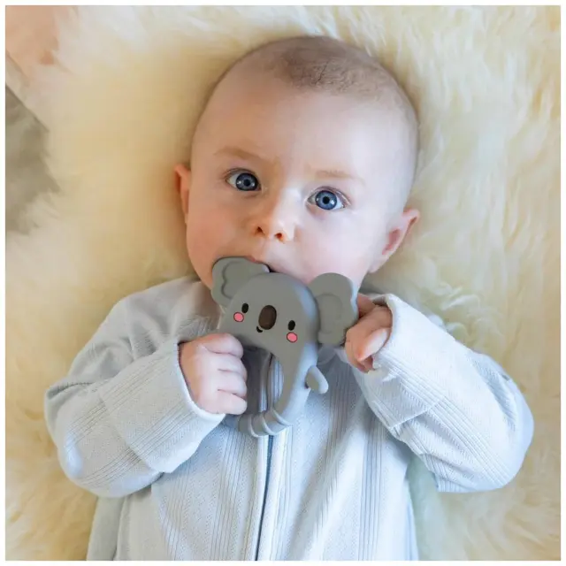 Παιχνίδι Οδοντοφυίας Tiger Tribe Silicone Teether Koala 0-18m 3