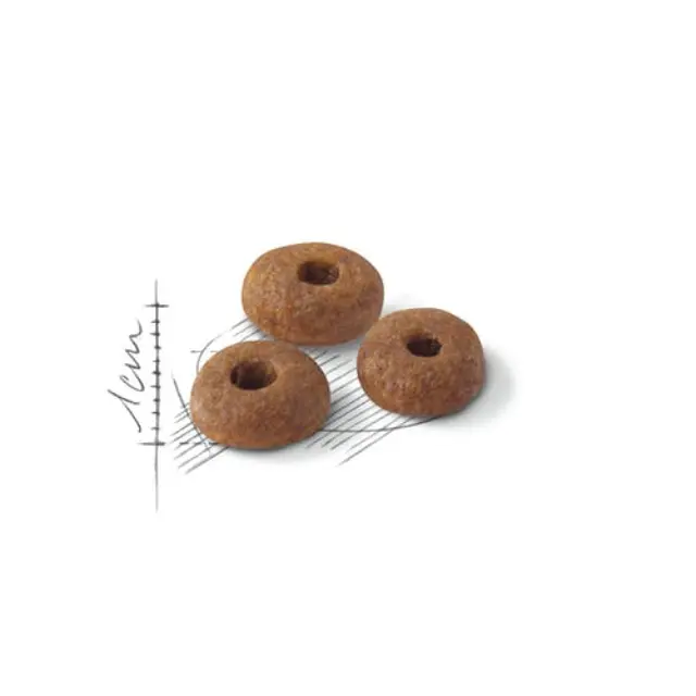 Royal Canin Fit 32 Ξηρά Τροφή Γάτας με Πουλερικά & Ρύζι 4kg 2