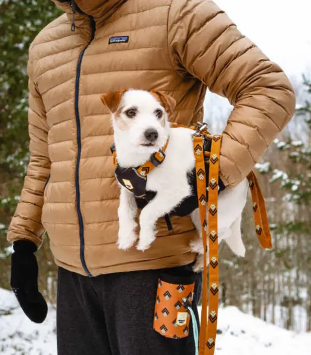 Woolly Wolf Eco Friendly Οδηγός Περιπάτου Sea to Summit Leash (150 cm) Μονόχρωμο 3