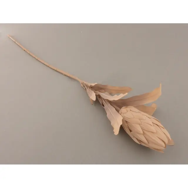 Πρωτέα, τεχνητό λουλούδι, καφέ ανοιχτό, 70cm