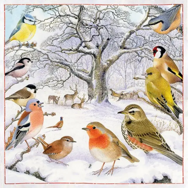 Χαρτοπετσέτα για Decoupage, Bird Meeting, 1τεμ.