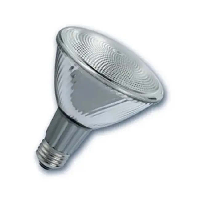 Halogen Lamp PAR38 120W E27 Flood