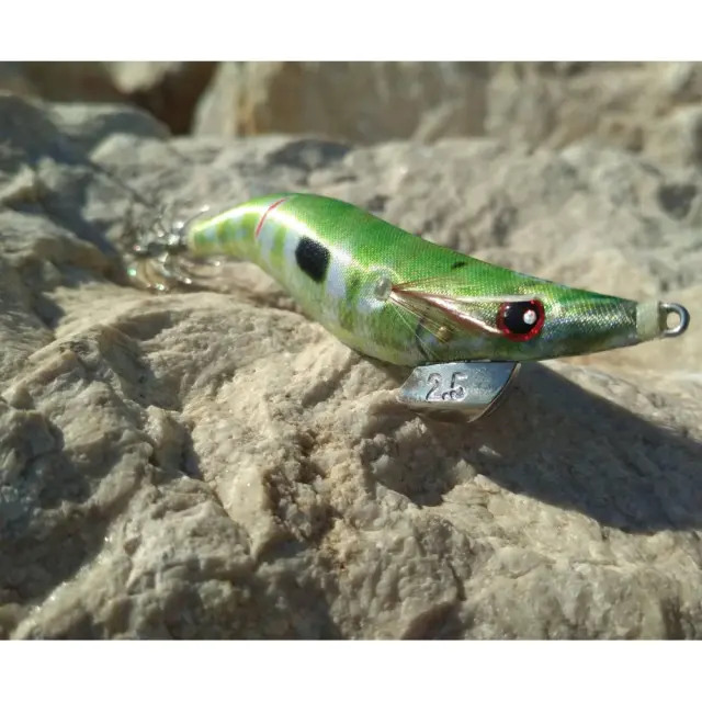 Καλαμαριέρα DTD Wounded Fish Oita 3.0 Dentex 2
