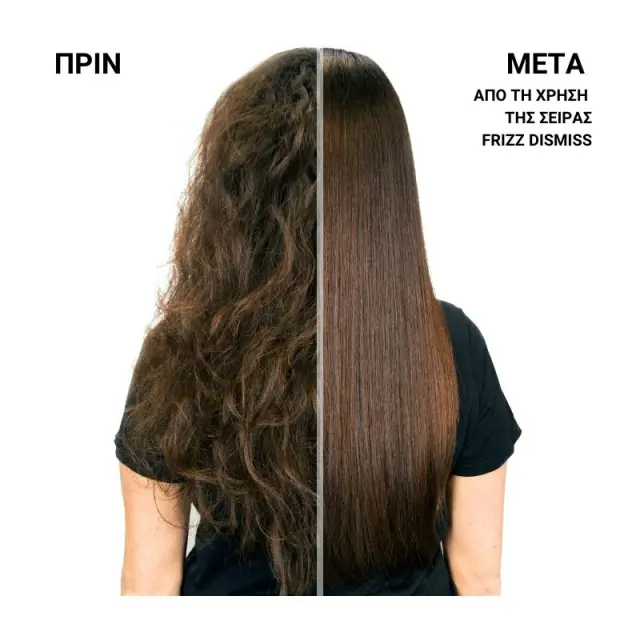 Redken Frizz Dismiss Σαμπουάν Κατά Του Φριζαρίσματος 300ml 3