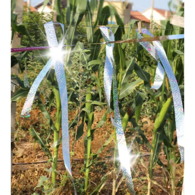 Ιριδίζουσα Ταινία 50Μ Απώθησης Πτηνών - 4,8cm x 50m 3