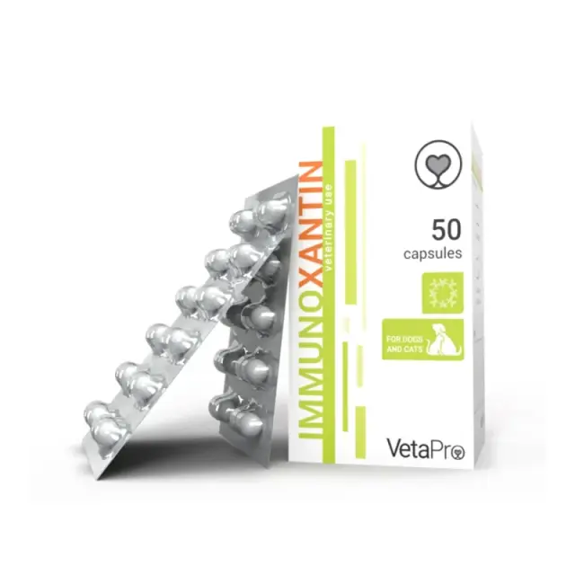 VetaPro Immunoxantin Συμπλήρωμα για Ανοσοποιητικό Σύστημα Σκύλων & Γατών 50 Κάψουλες