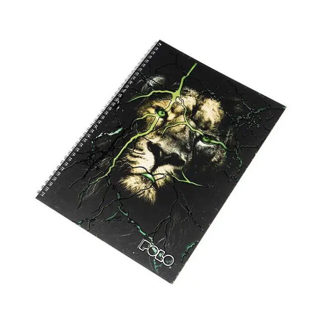 Polo Τετράδιο Σπιράλ 17x25 Lion Thunder (919001-6)