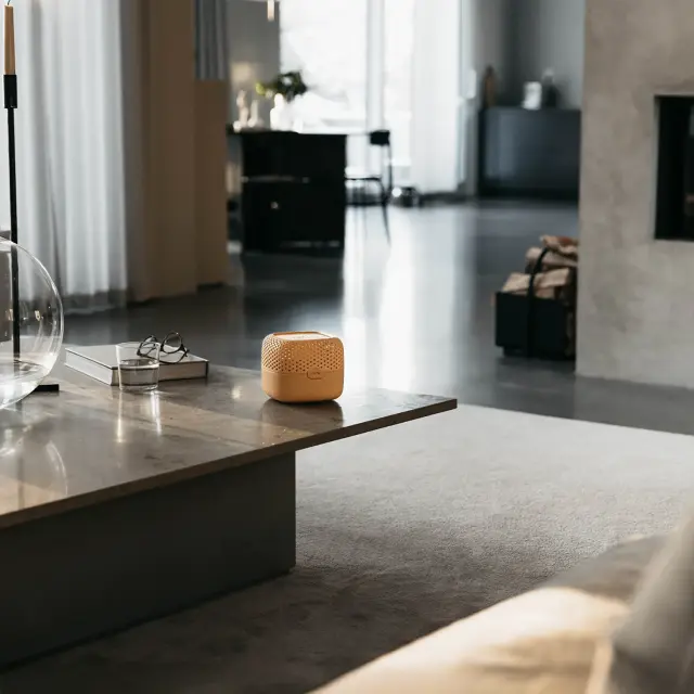 Absodry Duo Family Bag 3 Φορητός Αφυγραντήρας Δωματίου - Κίτρινος 3
