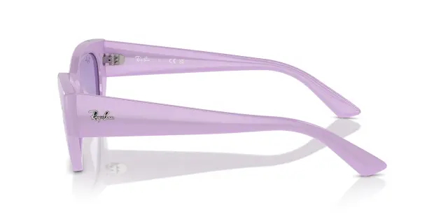 Γυαλιά Ηλίου Ray Ban ZENA RB4430 67581A Μονόχρωμοι (Ray Ban) (RB4430 67581A) 3