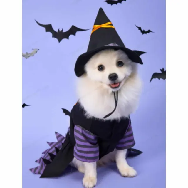 Αποκριάτικη στολή Σκύλου Γάτας Μαγισσούλα Halloween (Μήκος Ράχης : 23cm - 40cm) - Λαιμός: 26cm / Στήθος: 38cm