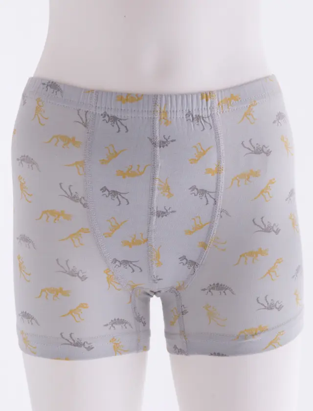 Boxer Kid Dinosaurs Γκρι