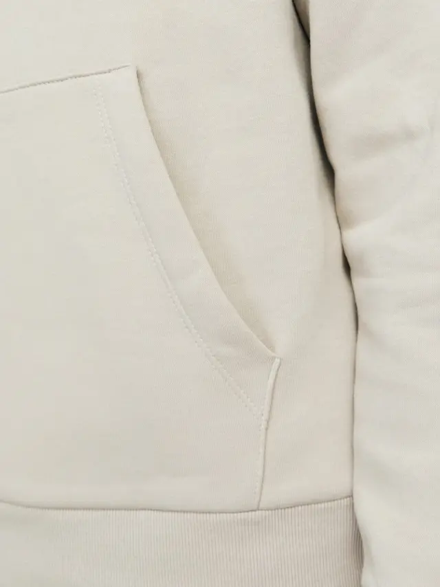 JJECORP LOGO SWEAT HOOD NOOS - Moonbeam 2
