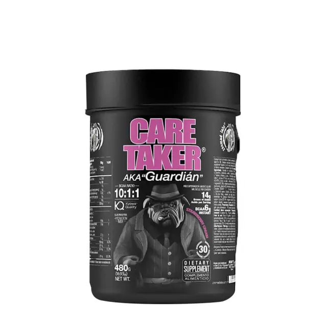 Zoomad Labs Caretaker® BCAAs 10:1:1 Strawberry & Cream, 480 g