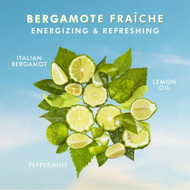 Moroccanoil Body Shower Gel Bergamote Fraiche 250ml 3