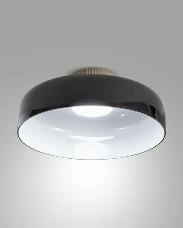 Lunar 3800-65 φωτιστικό οροφής Μαύρο Άσπρο