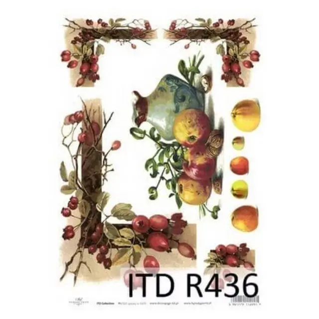Ριζόχαρτο ITD, 21x29cm, Ελαιόλαδο και καρποί, R436