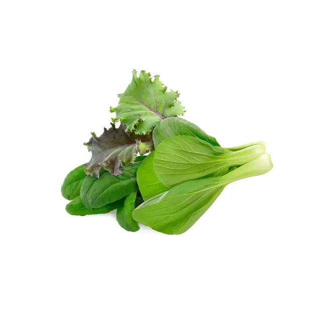 Click and Grow Συσκευασία Σπόρων με Χώμα, για Μείγμα Ασιατικής Κουζίνας – 9τμχ 2