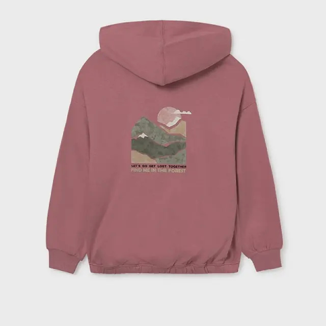 Junior 10 έως 18 ετών Φούτερ unisex ρουζ 3