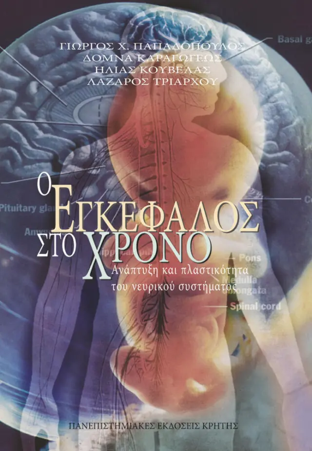 Ο ΕΓΚΕΦΑΛΟΣ ΣΤΟΝ ΧΡΟΝΟ