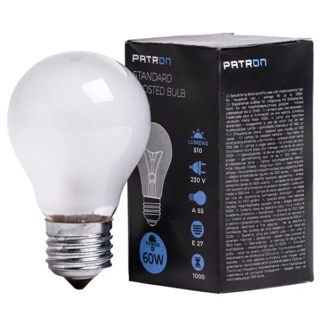 Incandescent Bulb E27 60W A55 230V FR