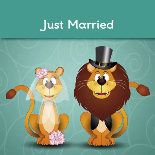 Ευχετήρια Κάρτα Happy Cards Just Married HC43