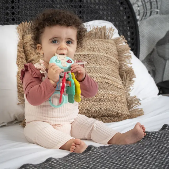 Ηλεκτρονική Κουδουνίστρα Sophie La Girafe S230851 2