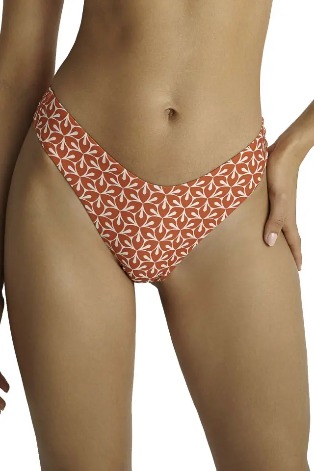 Brazil μπικινι σλιπ print 3